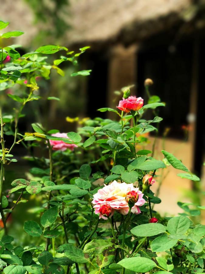 May Homestay - Tam Coc Local Village Ninh Binh Exterior photo